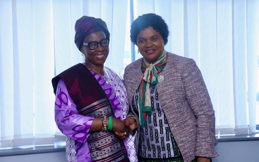 Dr Touray and NTD PM for Tanzania
