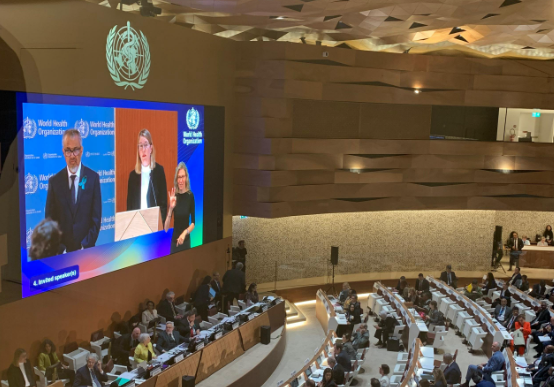 WHA 78 main session