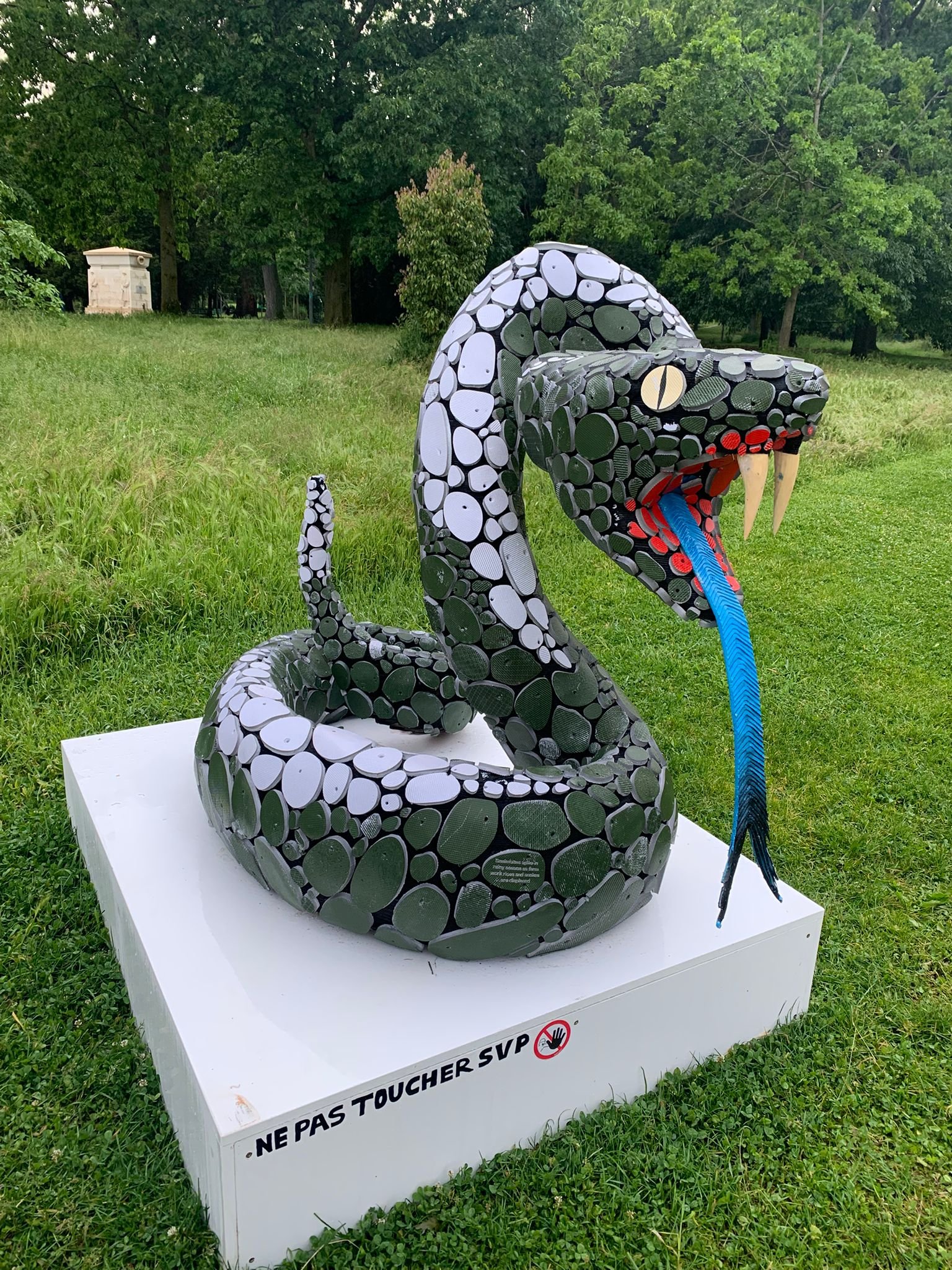 WHA Snakebite