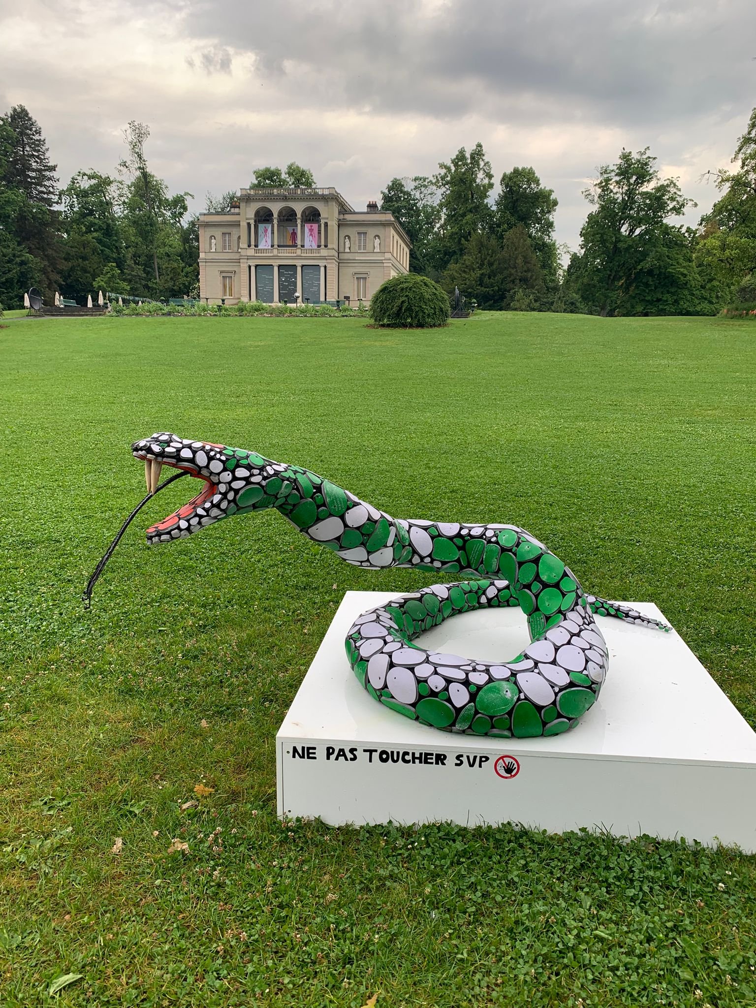 wha snakebite 3