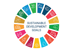 sdgs 2